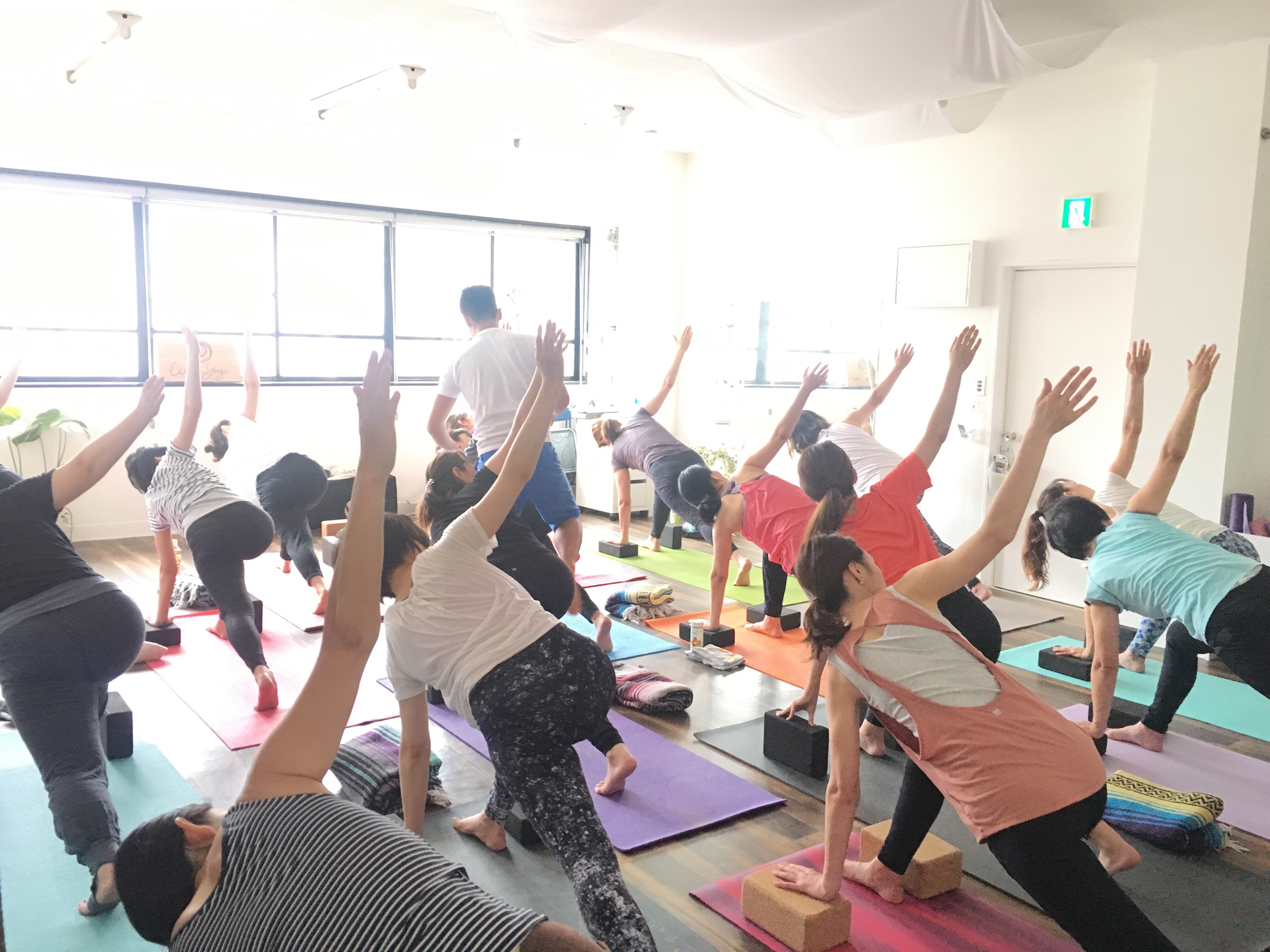 ヨガ　インストラクター養成講座　DVD ヨガ インストラクター養成講座 DVD ヨガ インストラクター養成